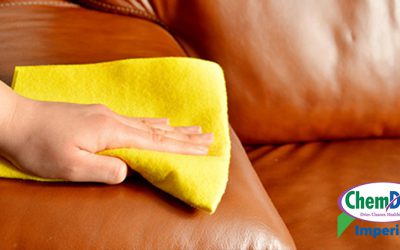 Protect Your Carpets and Upholstery with Expert Services