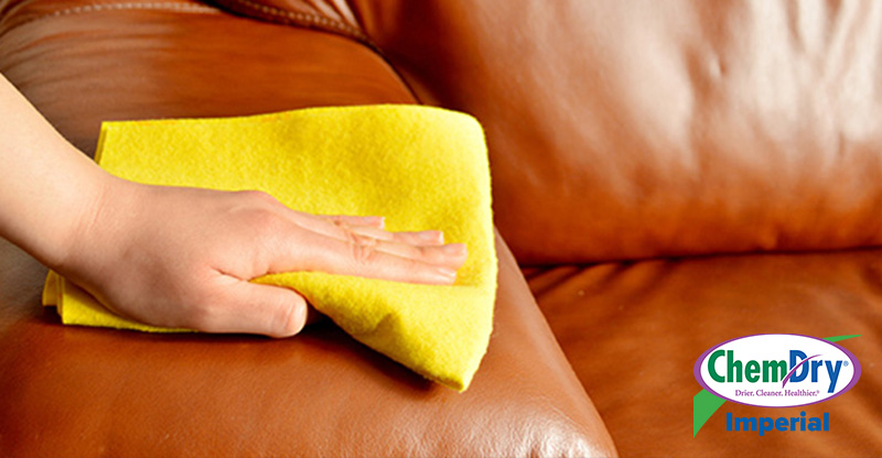 professional-upholstery-cleaning-service