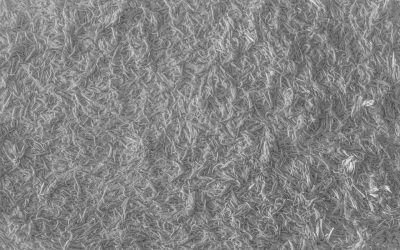 5 Signs That Indicate Your Area Rug Needs to Be Cleaned