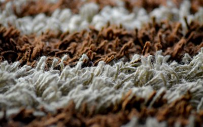 6 Nightmarish Carpet Stains You Need to Tackle Immediately