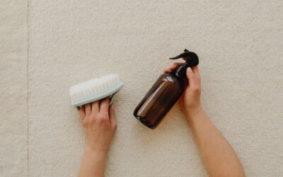 The Importance of Regular Professional Carpet Cleaning for a Healthy Home