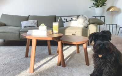 The Impact of Clean Carpets and Upholstery on Indoor Air Quality
