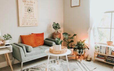How Regular Carpet Cleaning Contributes to a Healthier Home