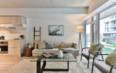Boost Your Ottawa Business with Imperial Chem-Dry’s Carpet Cleaning Solutions