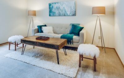 The Benefits of Eco-Friendly Carpet and Upholstery Cleaning for Your Ottawa Home
