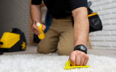 The Importance of Carpet Cleaning for Pet Owners and Tips for a Pet-Friendly Home