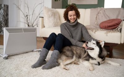 Eliminate Pesky Pet Odours and Enhance Your Home with Pro Odour Removal Services