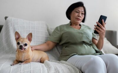 Our Approach to Removing Pet Odours From Your Home