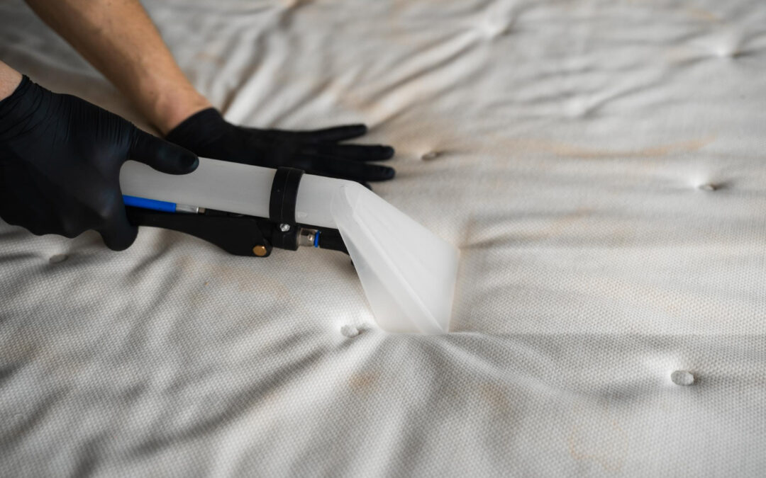 Improve Sleep with Professional Mattress Cleaning