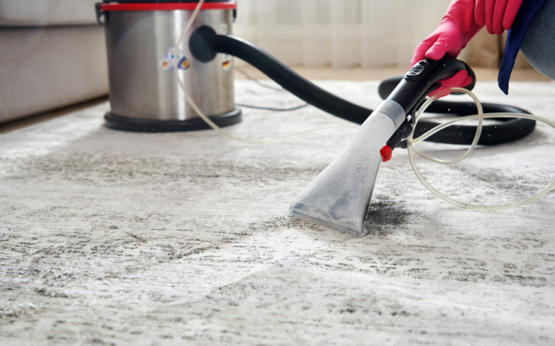 Why Pet Odours Are Hard to Remove Without Professional Help