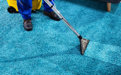 How to Prepare for a Professional Carpet Cleaning Service
