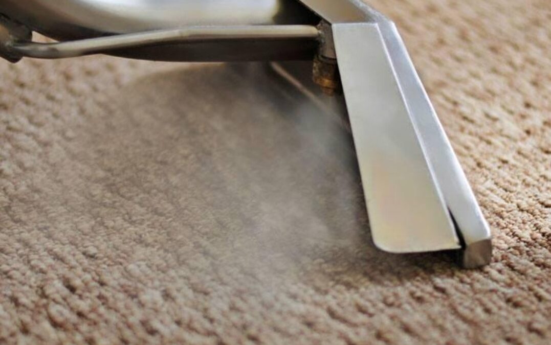 The Ultimate Guide to Professional Carpet Cleaning in Kanata & Ottawa West