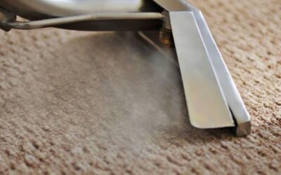 The Ultimate Guide to Professional Carpet Cleaning in Kanata & Ottawa West