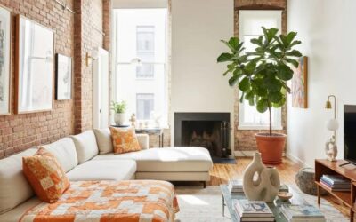 Molecular Salt & Allergen Extraction in Ottawa Carpets