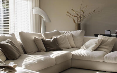 Advanced Low-Moisture Fabric Sanitization & Upholstery Cleaning in Ottawa, ON