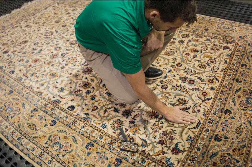 Area Rug Stain Removal Techniques: How to Remove Stains From Area Rugs